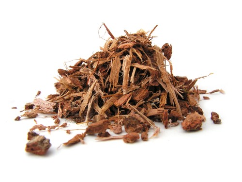 Kora dębu