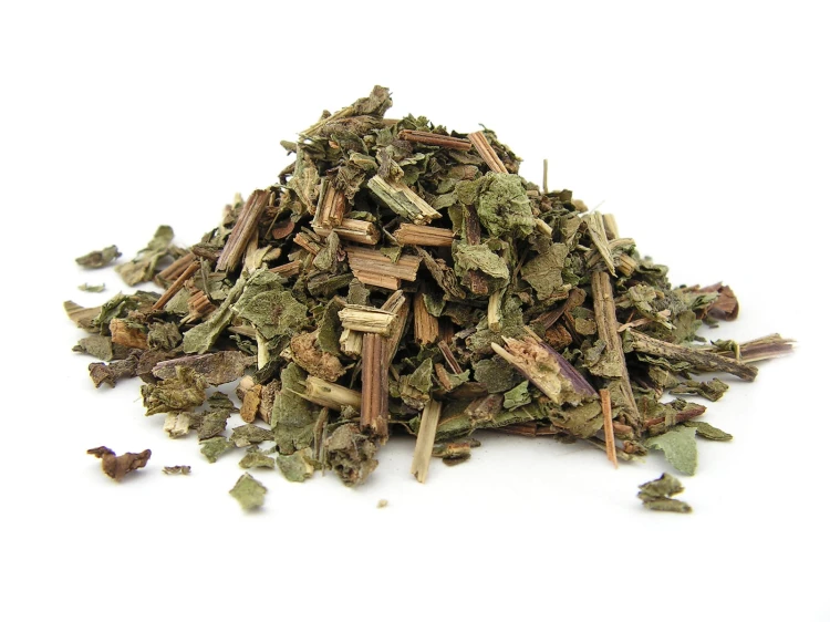 Jeżówka purpurowa ziele - cięte - Aromatika