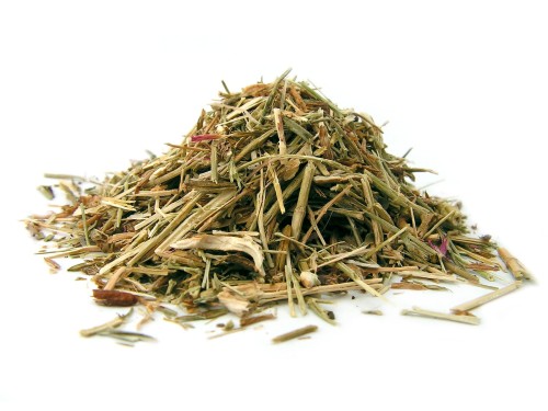 Ziele centurii pospolitej (tysiącznika)