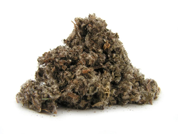 Ziele karczocha