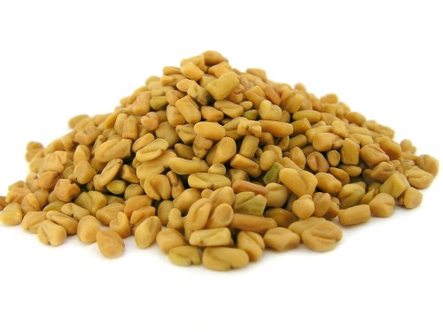 Kozieradka owoc (ziarno)