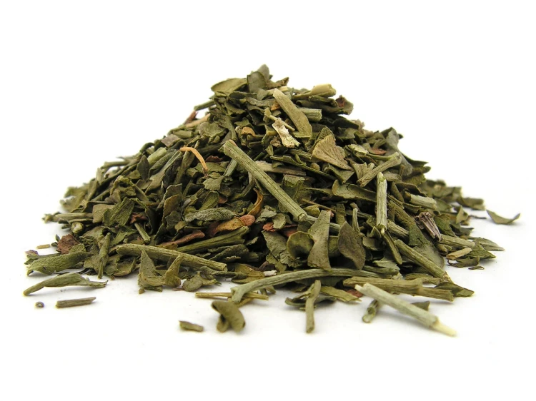 Ziele ruty - cięte - Aromatika