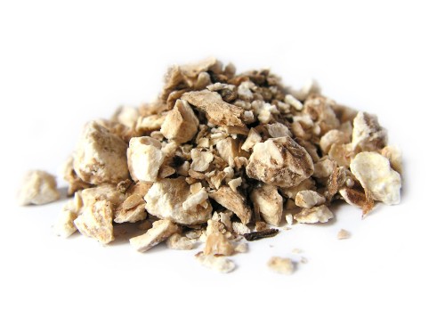 Korzeń cykorii podróżnika