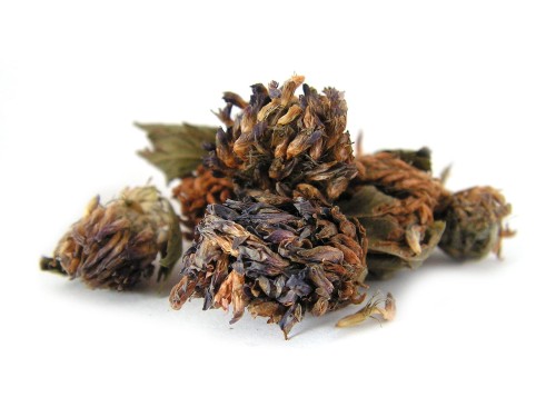 Koniczyna czerwona kwiat suszony - Aromatika