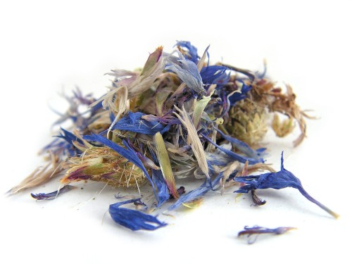 Kwiat bławatka chabra - koszyczek