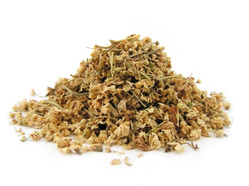 Kwiat czarnego bzu suszony