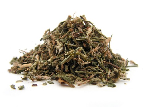 Ziele rdestu ptasiego