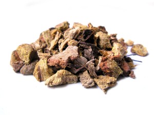 Rdest japoński - korzeń rdestu cięty