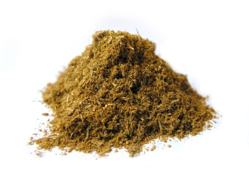 Aksamitka - kwiat aksamitki 0 mielony - Aromatika