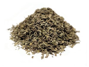 Babka lancetowata - liść - fix