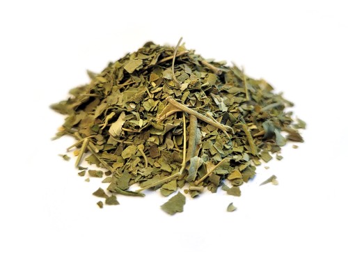 Moringa olejodajna - liść cięty - Aromatika