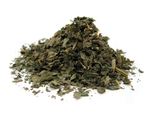 Liść borówki czernicy