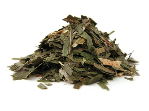 Liśc konwalii majowej