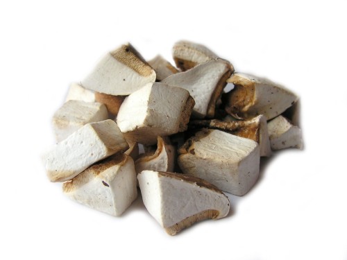Białoporek brzozowy (biała huba brzozowa)