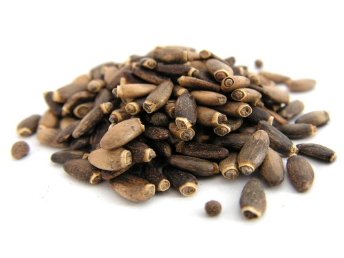 Ostropest plamisty ziarno całe