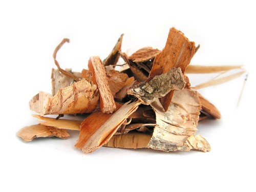 Kora brzozy brodawkowatej