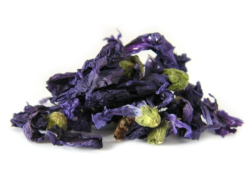 Kwiat dzikiej malwy (ślazu)