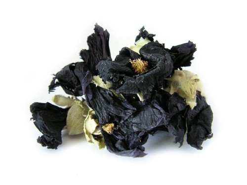 Suszony kwiat czarnej malwy