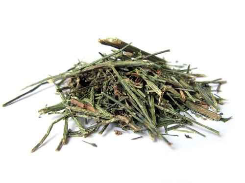 Brodziuszka wiechowata ziele