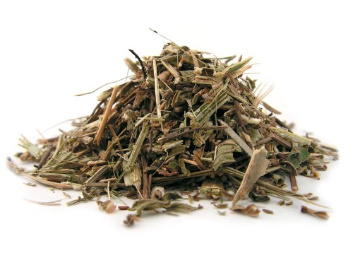 Ziele werbeny pospolitej cięte