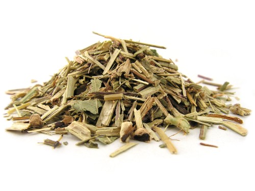 Ziele krwiściągu lekarskiego 