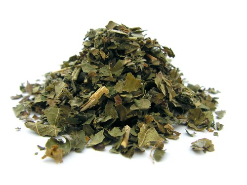 Liść jeżyny suszony