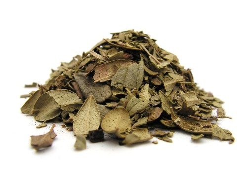 Liść borówki brusznicy