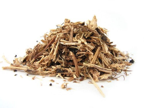 Pokrzywa zwyczajna korzeń cięty