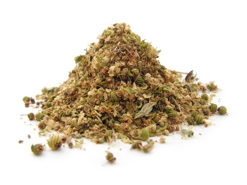 Kwiat wiązówki błotnej (tawuły)