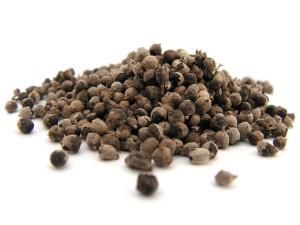 Niepokalanek pospolity - owoc