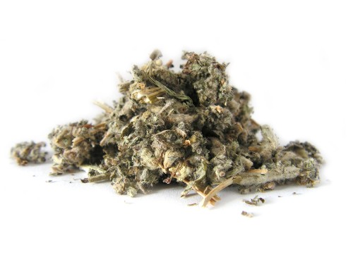 Ziele szanty zwyczajnej - Aromatika