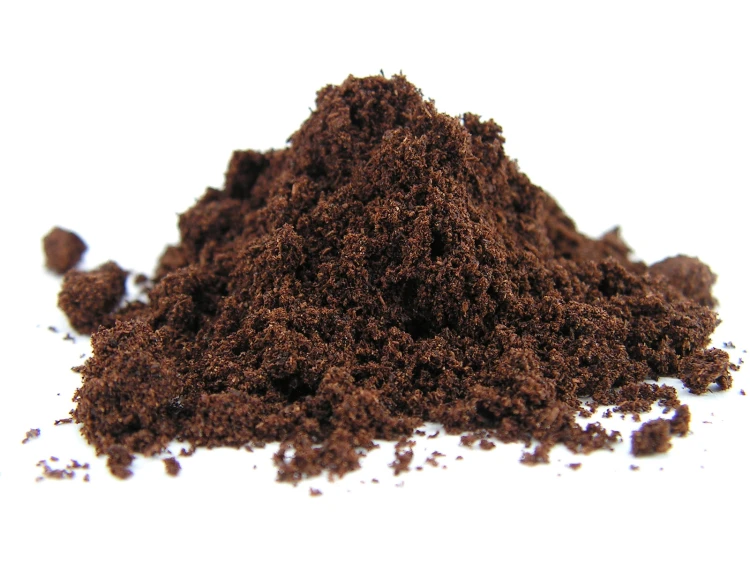 Wanilia mielona - bourbon - burbońska - Aromatika