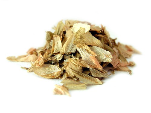 Suszona szyszka chmielu