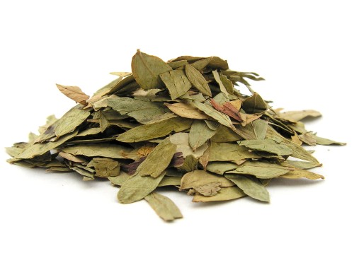 Liść senesu - Aromatika