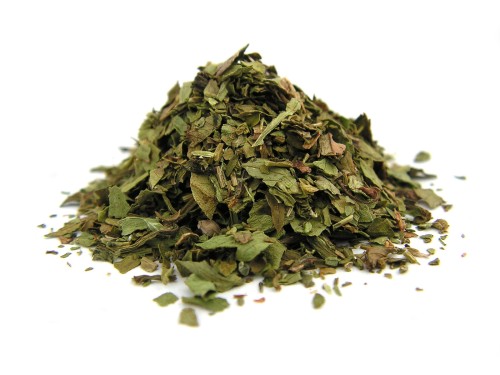 Lubczyk - liść otarty