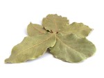 Liść laurowy - suszony