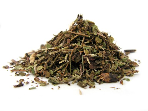 Ziele przetacznika leśnego