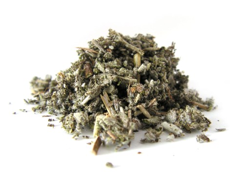 Liść szałwii lekarskiej