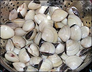 Małże dokładnie umyć